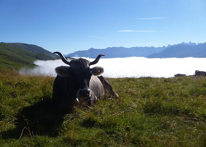 Haus Dietrich Serfaus