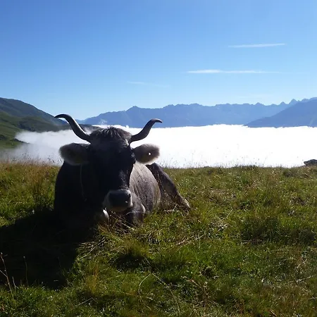 Haus Dietrich Serfaus